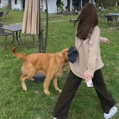 欢乐乡村